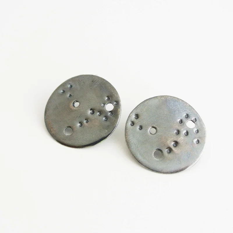 women's earrings with flower petals -Pisces Zodiac Constellation Argentium Silver Disc Earrings