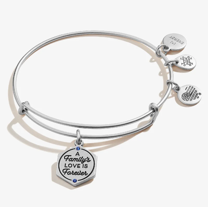 women's bracelets for engagement -'A Family's Love is Forever' Charm Bangle