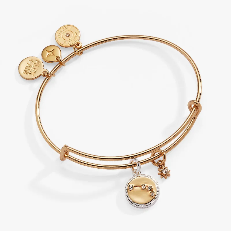 women's bracelets luxury statement -Aries Zodiac Charm Bangle