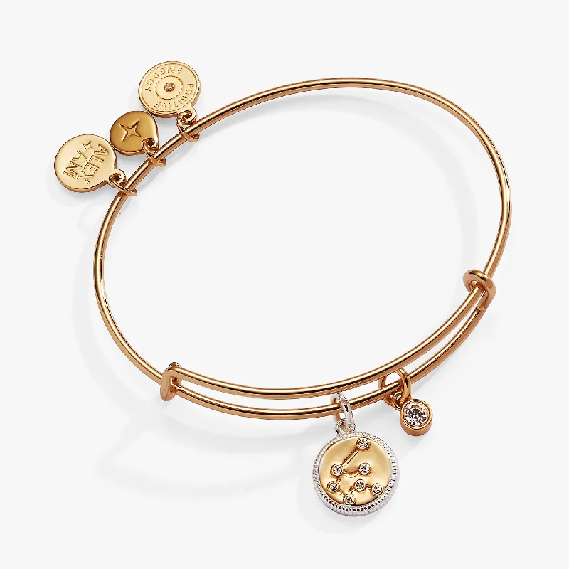 women's bracelets with elegant finish -Aquarius Zodiac Charm Bangle