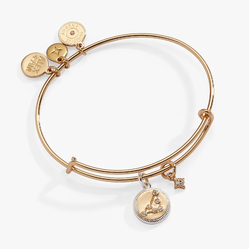 women's bracelets with mixed metals -Capricorn Zodiac Charm Bangle