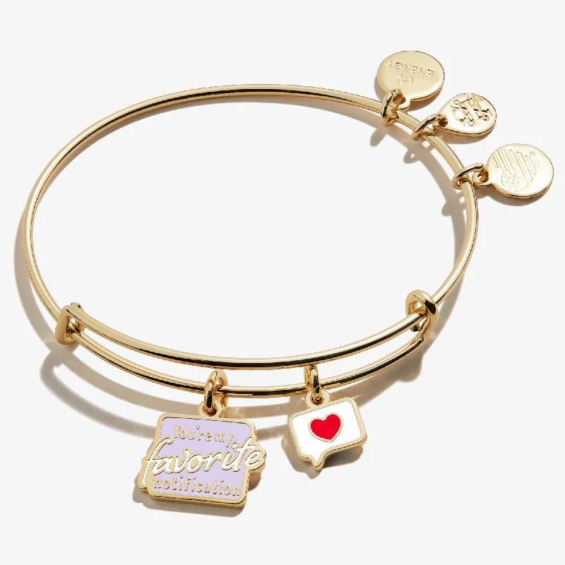 women's bracelets adjustable -'You're My Favorite Notification' Duo Charm Bangle Bracelet